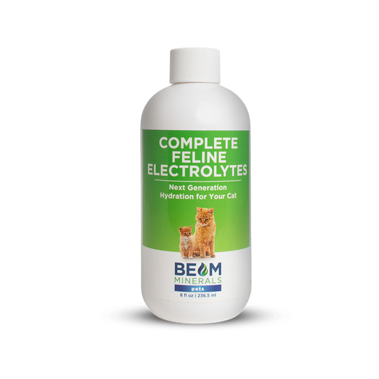 Complete Feline Electrolytes