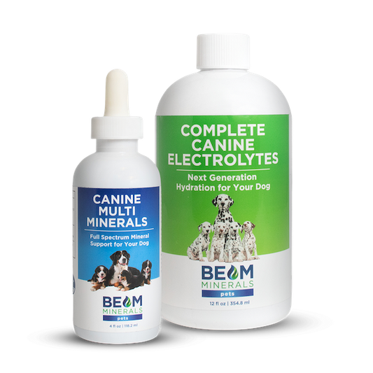 Advanced Canine Mineral and Electrolyte Replenishment Set