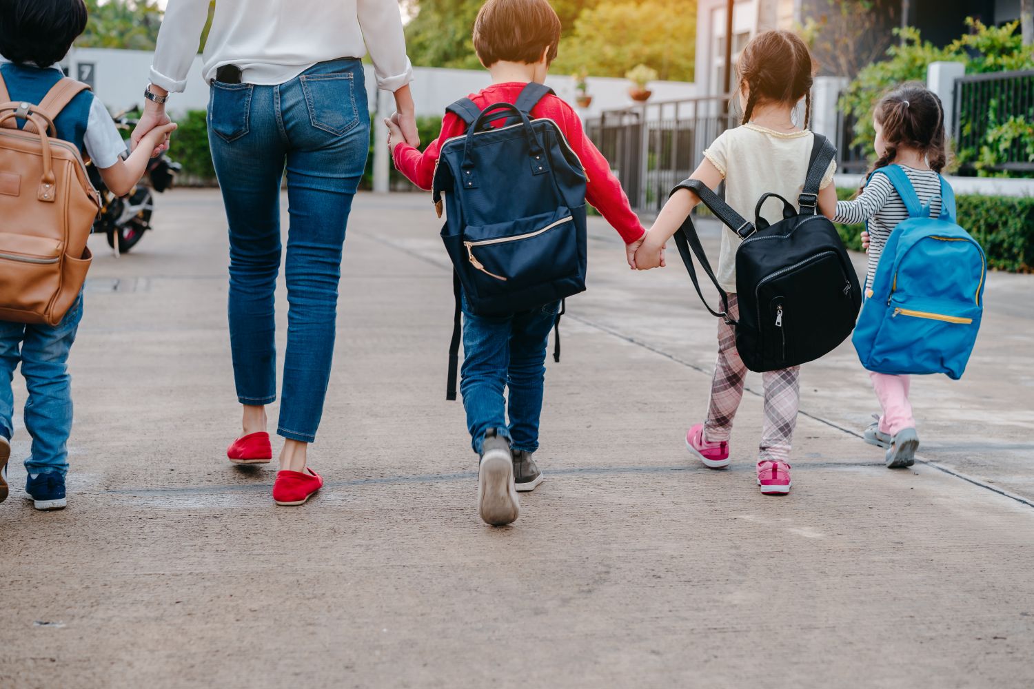 Back-to-School Brain Boost: Minerals for Focus, Energy & Calm Kids