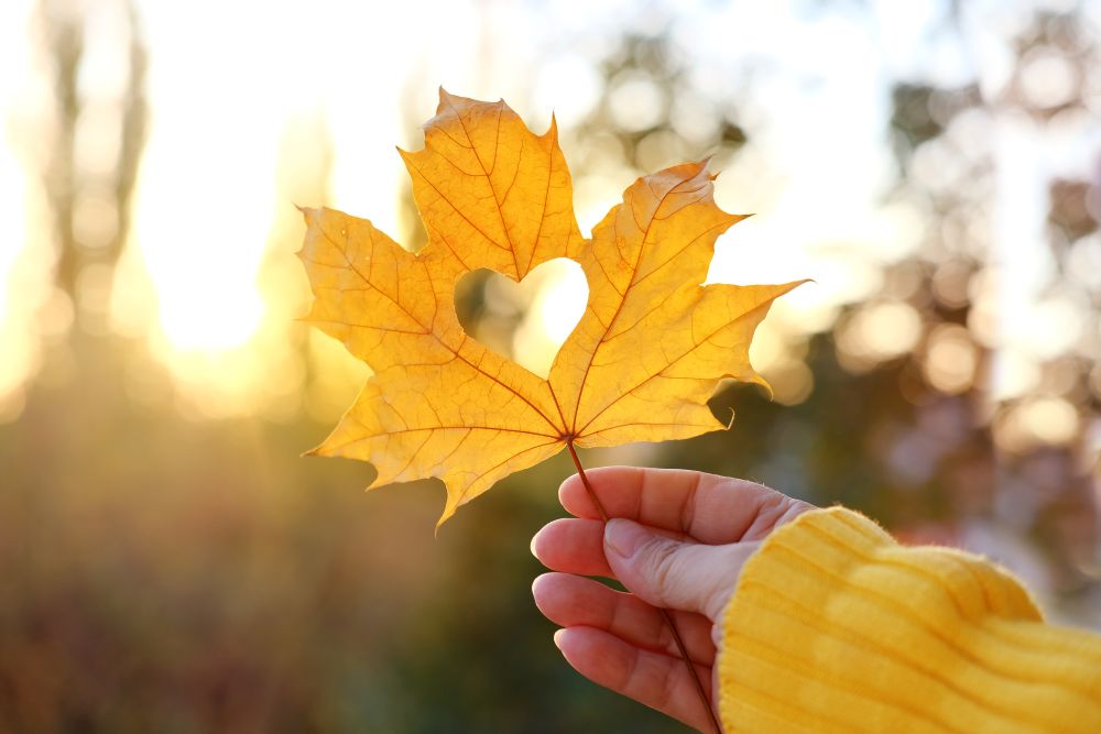 Fall Reset: Mineral Support for Energy, Focus & Immune Strength