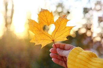 leaf with heart