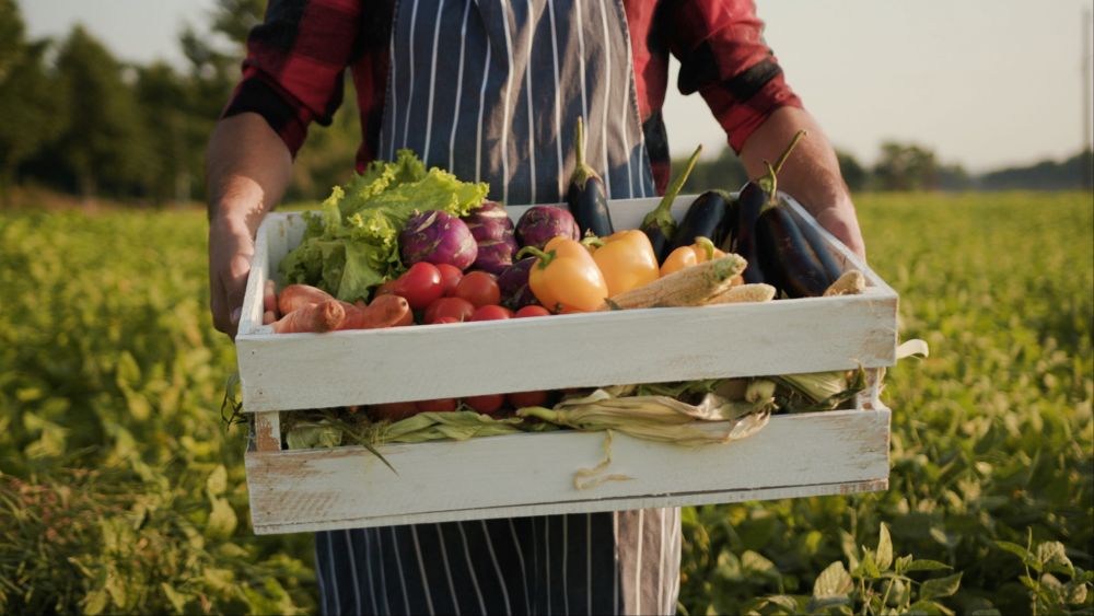 The Hidden Hunger: Why Even Healthy Diets Leave Us Malnourished