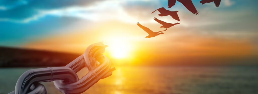 broken chains with birds flying away in the sunset