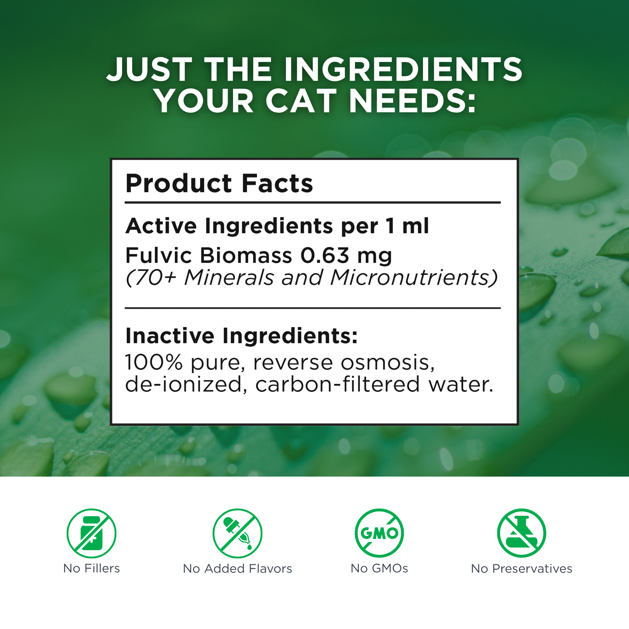 Complete Feline Electrolytes