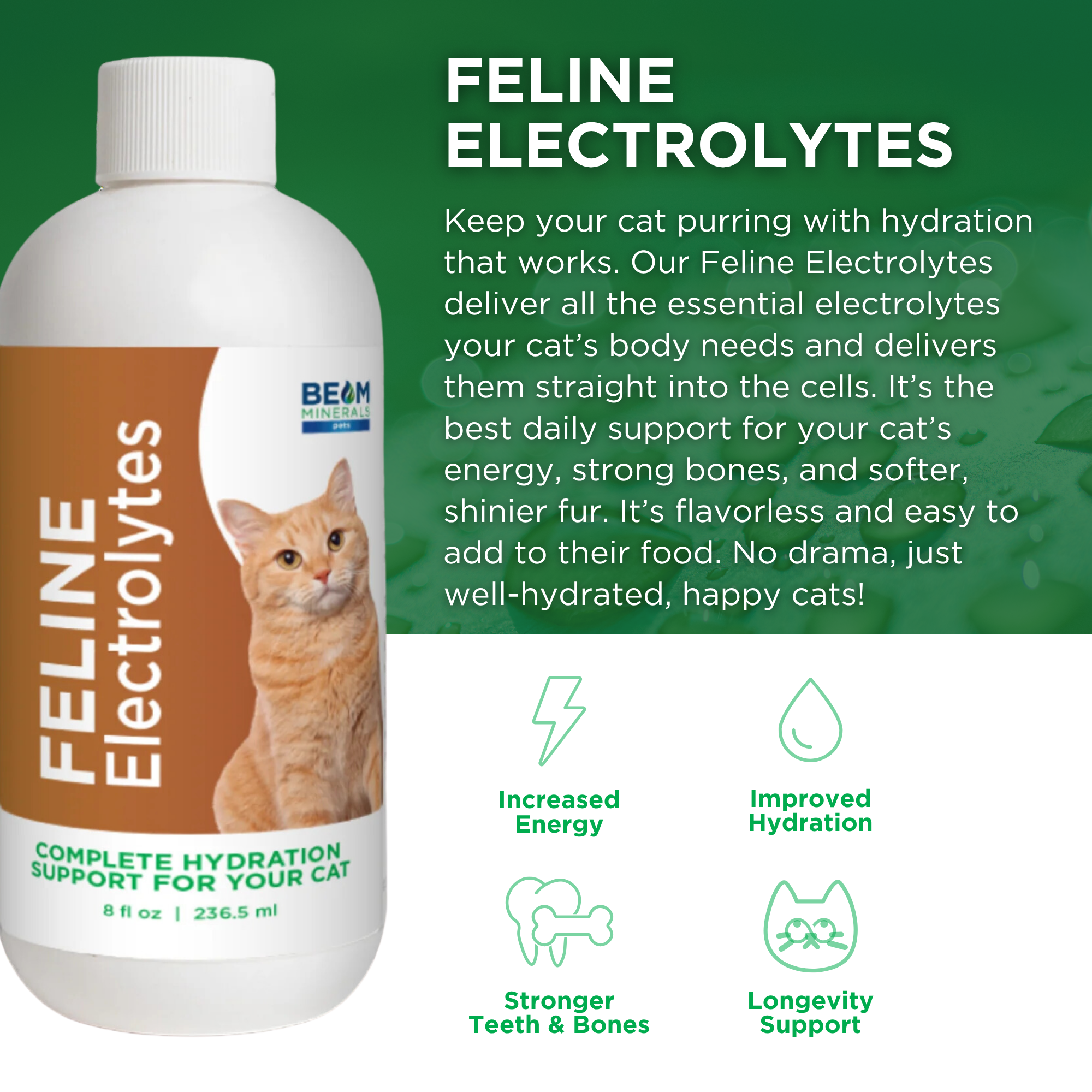 Complete Feline Electrolytes