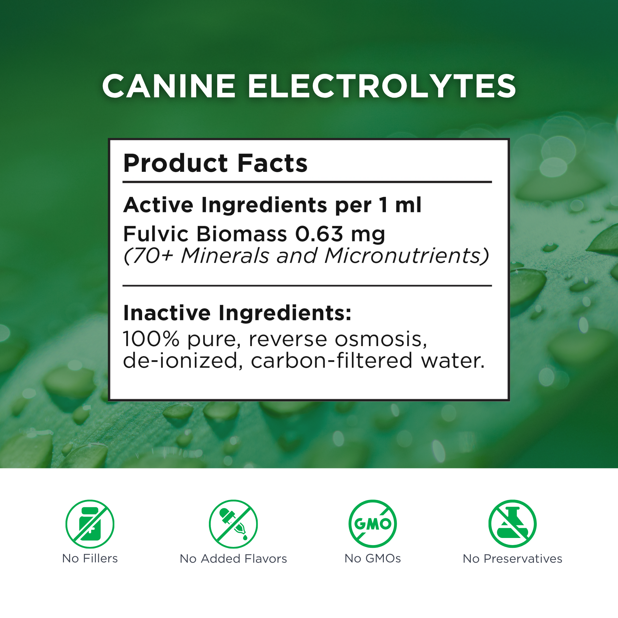 Advanced Canine Mineral and Electrolyte Replenishment Set