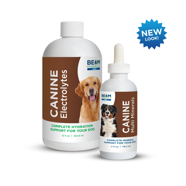 Dogs and electrolytes sales