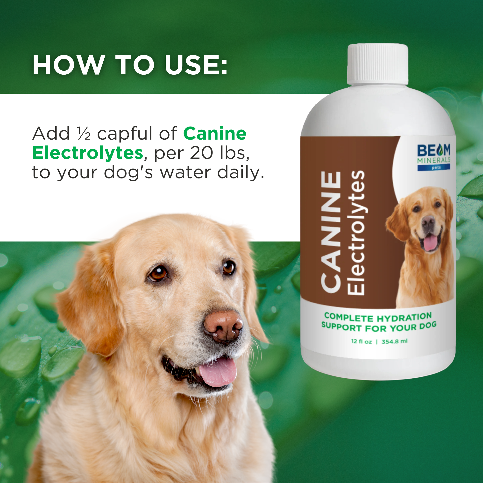Advanced Canine Mineral and Electrolyte Replenishment Set
