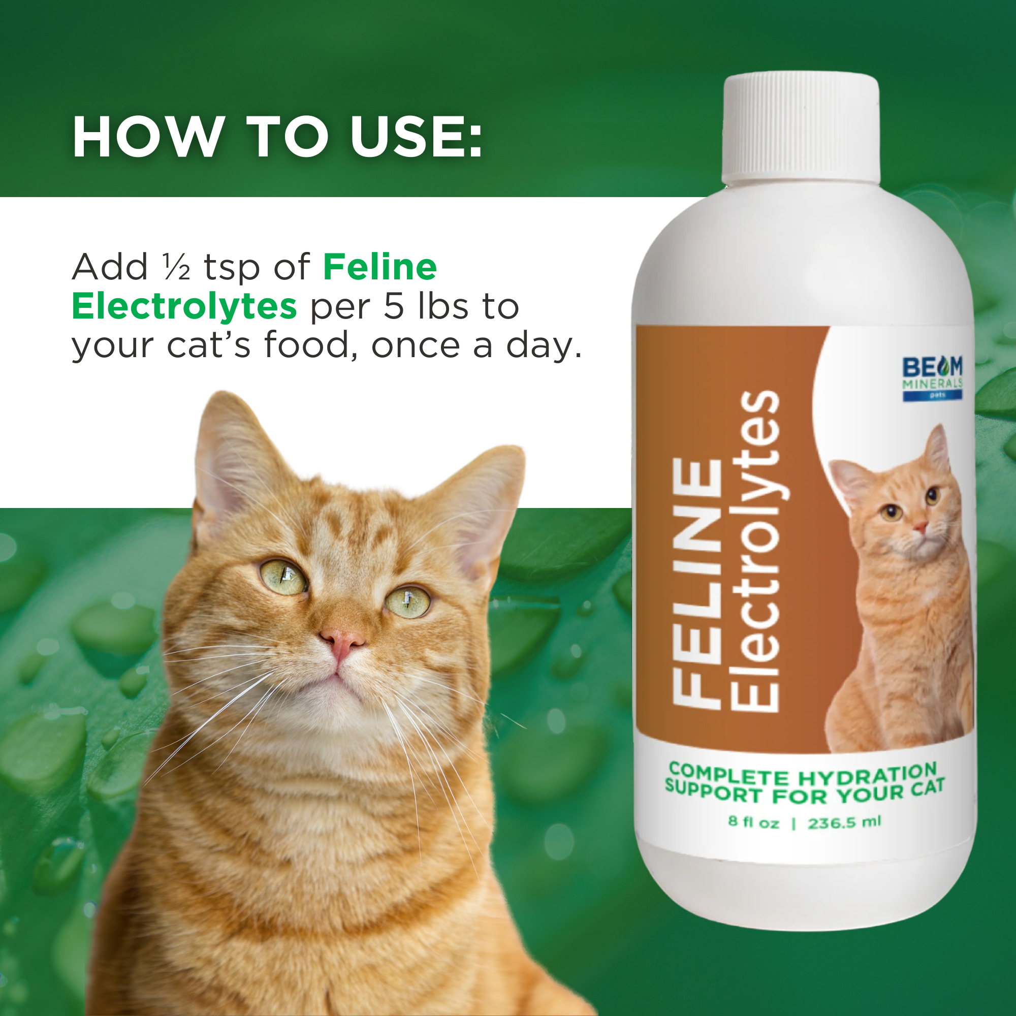 Complete Feline Electrolytes