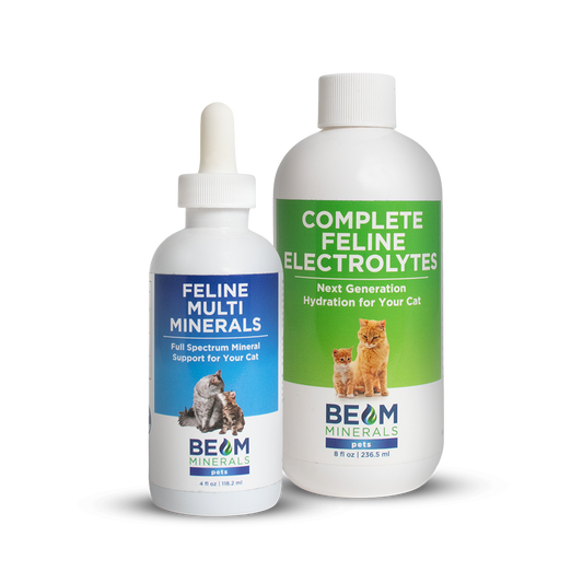 Advanced Feline Mineral and Electrolyte Replenishment Set
